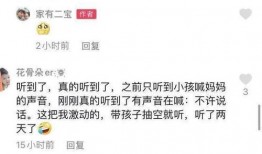 石家庄正宗爆料案件最新,最新案件细节揭秘